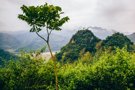 Wonderful landscapes from Sapa region in the north of Vietnam