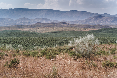 Wonderful landscapes in the desert of Tabernas, Andalusia, Spainの写真素材