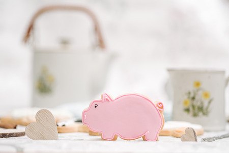 Cute hand made cookies in a shape of animalsの写真素材