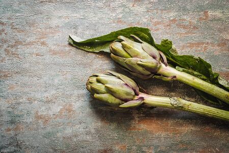 Fresh raw italian artichokesの写真素材