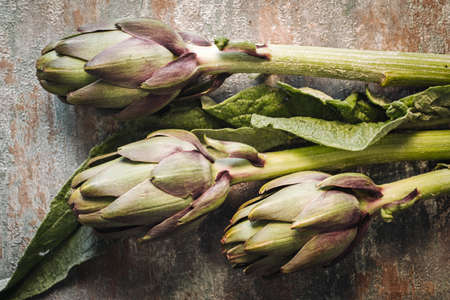 Fresh raw italian artichokesの写真素材