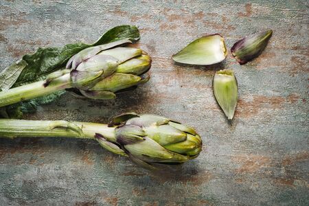 Fresh raw italian artichokesの写真素材