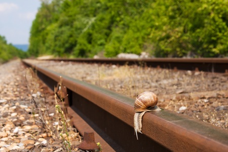 A snails  hurry from the railway track