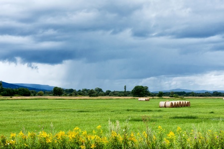 Green field in the background storm cloudsの写真素材