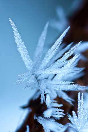 Ice crystals on a very cold winter dayの写真素材