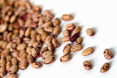 Delicious mottled,raw common beans 