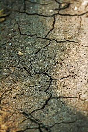 major drought parched soil
