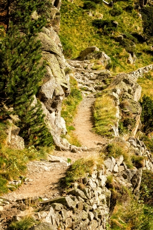 Nice little walk to mountain forest 