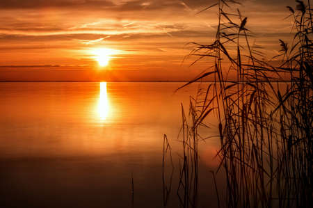Beautiful sunset light on a autumn lakeの写真素材