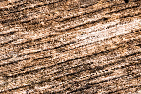 Close up of old wood background 