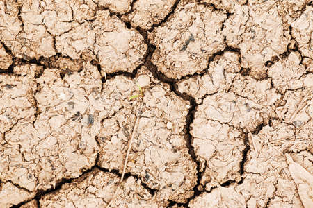 Closeup of dry soilの写真素材