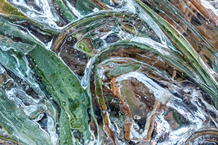 Frozen grass in a puddleの写真素材