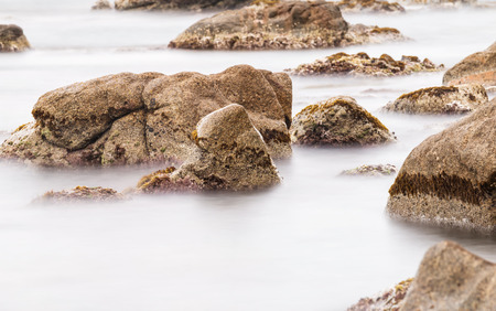 Detail of the Spanish coast (Costa Brava)
