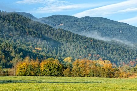 Colorful and foggy autumn forest in the mountainの写真素材