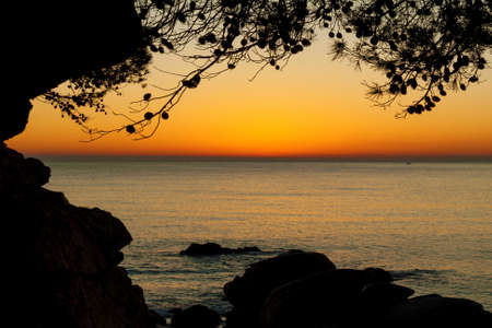 Beautiful beach at sunrise with treesの写真素材