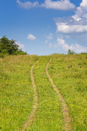 Summer landscape with yellow grass and roadの写真素材