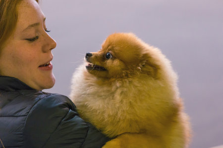 22th INTERNATIONAL DOG SHOW GIRONA March 17, 2018,Spain, Pomeranianのeditorial素材