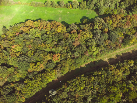 Aerial picture from a forest landscape