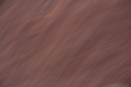 Beige texture on the autumn field with long exposure techniqueの写真素材
