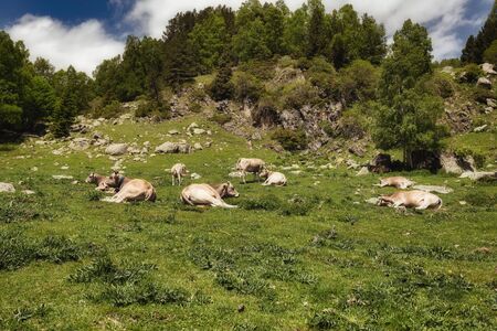 The beautiful Aiguestortes i Estany de Sant Maurici National Park of the Spanish Pyrenees mountain...