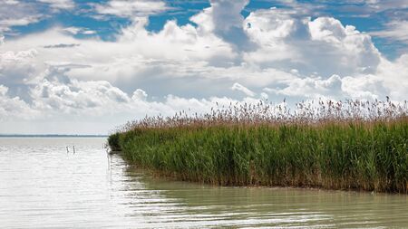 Overcast landscape over lake Balaton of Hungaryの写真素材
