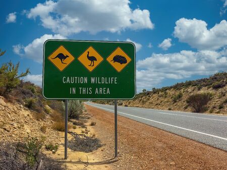Warning sign for animals in Australia on the roadの写真素材