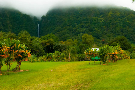 Countryside With Waterfall on the Road To Hana in Maui, Hawaiiの写真素材