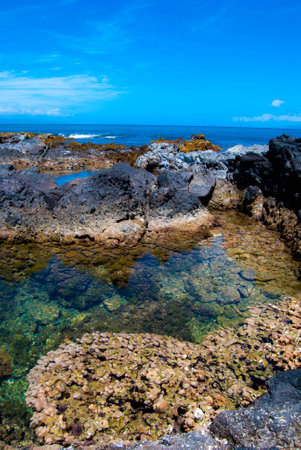 Hawaii coast tidepools - Mauiの写真素材