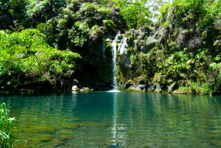 Waterfall into Pool of Water near the Road To Hana, Maui Hawaiiの写真素材