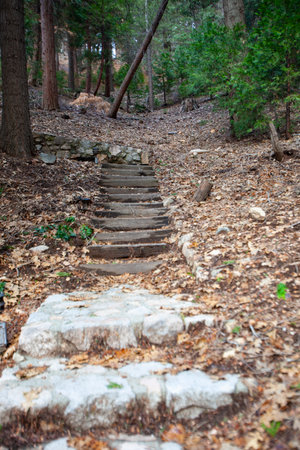 Railroad Tie Steps with Rockwall in the Woods, Skyforest, California