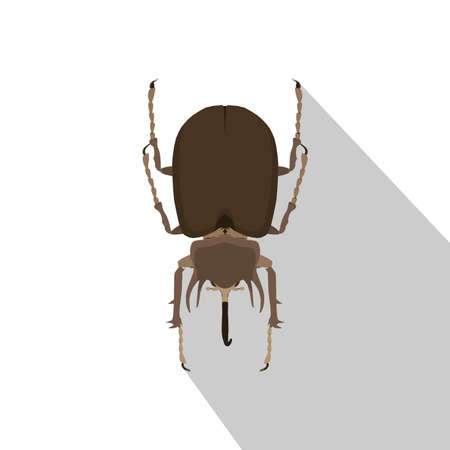 Beetle rhinoceros vector bug rhino illustration silhouette nature insect isolatedのイラスト素材