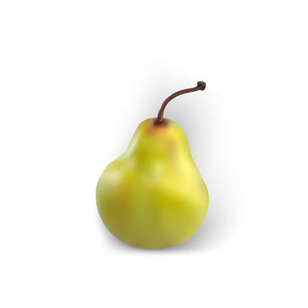 Pear isolated realistic white background green fruit yellow good fresh vector organicのイラスト素材