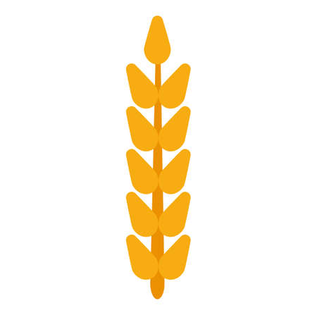Field grain ear wheat vector. Harvest farm bread rye agriculture food. Cereal barley isolated background plant. Crop icon golden corn illustration logo. Yellow straw beer stem.のイラスト素材
