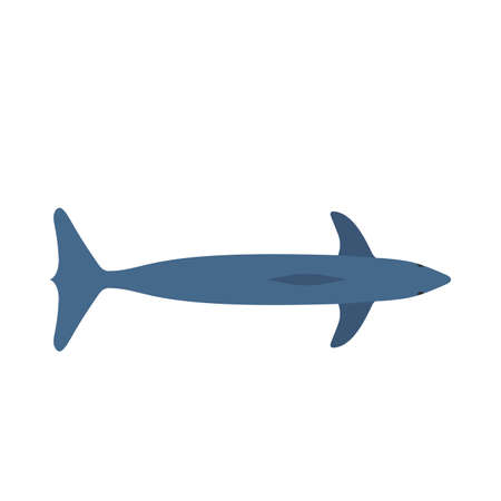 Dolphin blue mammal art graphic symbol vector icon. Animal sea aquarium show illustration top view.のイラスト素材