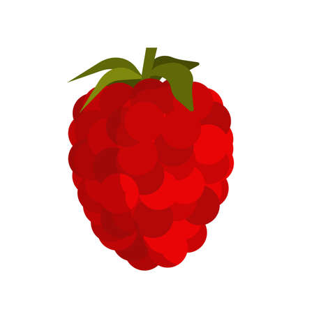 Raspberry fruit food vector icon isolated. Red berry sweet nature. Organic plant ingredient symbol....