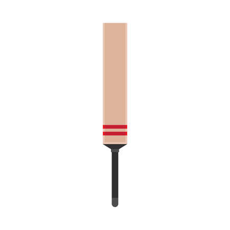 Cricket bat play field outdoor professional vector icon fun. Champion mania silhouette flat cartoon india sport club teamのイラスト素材