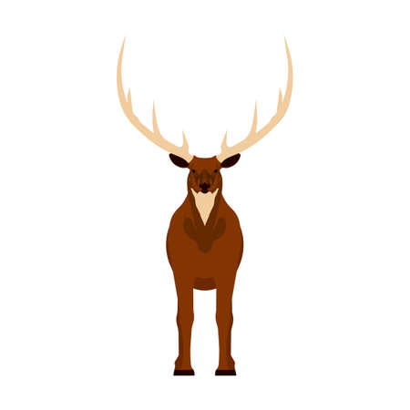 Elk vector illustration icon front view. Wildlife deer mammal art nature with horn. Antler head cartoon forest fauna zooのイラスト素材