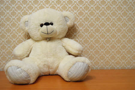 Toy teddy bear cute soft animal. Soft childhood object gift plush funnyの写真素材