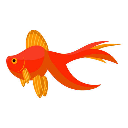 Veiltail fish aquarium water animal nature and vector underwater aquatic art. Tropical illustration fish with tail and fin. Beautiful decorative multicolored pet drawing and ichthyology coral reefのイラスト素材