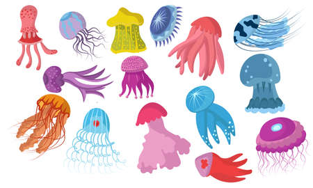 Jellyfish cartoon isolated medusa and biology jelly fish. Purple marine set and water life animal vector illustration. Colorful exotic undersea wildlife with tentacle and collection sea nature iconのイラスト素材