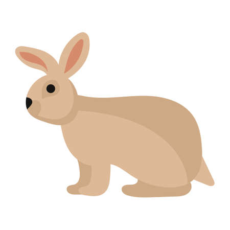 Rabbit or hare cartoon bunny pet. Animal icon and farm breed easter. Rodent isolated white vector illustration and adorable furry animal. Drawing wildlife and zoo rabbit sign faunaのイラスト素材