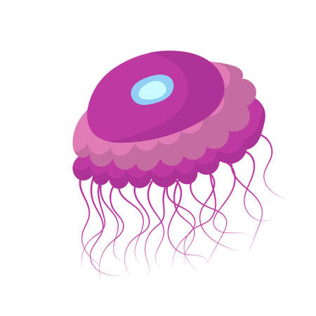 Jellyfish cartoon isolated medusa and biology jelly fish. Marine and water life animal vector illustration. Colorful exotic undersea wildlife with tentacle and sea nature iconのイラスト素材