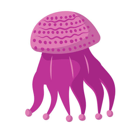 Jellyfish cartoon isolated medusa and biology jelly fish. Marine and water life animal vector illustration. Colorful exotic undersea wildlife with tentacle and sea nature iconのイラスト素材