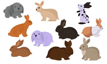Rabbit or hare cartoon bunny pet. Animals icons and farm set breed easter. Rodent isolated white vector illustration and adorable furry animal. Drawing wildlife and zoo rabbits sign collection faunaのイラスト素材