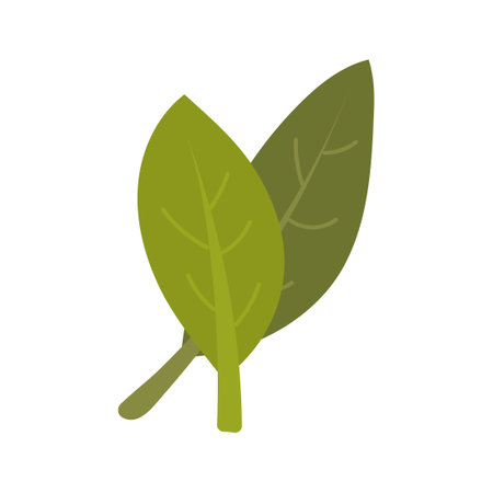Autumn leaf fall icon and season nature vector illustration. October foliage decoration and seasonal plant design isolated white. Colorful element forest or botany. Flora symbol in flat style autumnalのイラスト素材