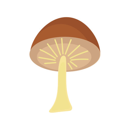 Mushroom vector illustration icon isolated white background. Nature cartoon food and colorful forest psychedelic plant. Drawing retro autumn object. Vegetable raw ingredient and floral element cookingのイラスト素材