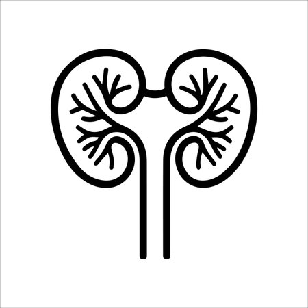 Kidneys icon or modern line symbol. Vector line art and icon design with bold outline. Black and...