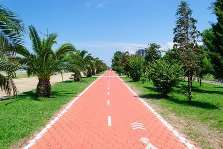 BATUMI, GEORGIA - JULY 30, 2013: Bicycle path on the Batumi Boulevard, Georgiaのeditorial素材