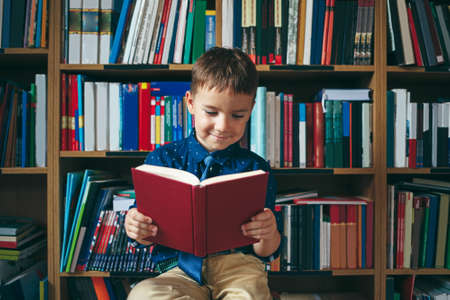 Boy sitting down on a chair reading a book against multi colored bookshelf in library. Education,...