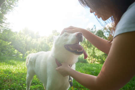 Funny dog stuck out his tongue from pleasure. Girl and her pet have fun together making funny faces in the natureの写真素材